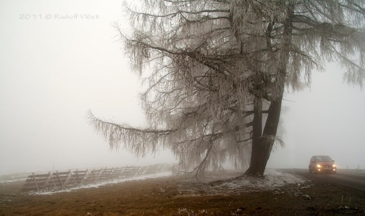 6275789353_0e4ffec790_b