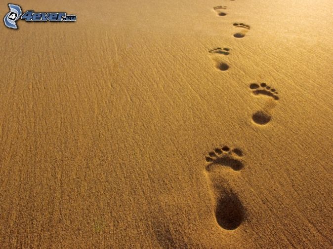 footprints-in-the-sand-163312