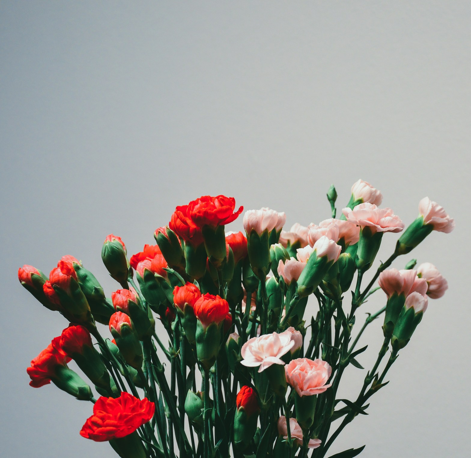 school shooting, carnations, poem, valentines day
