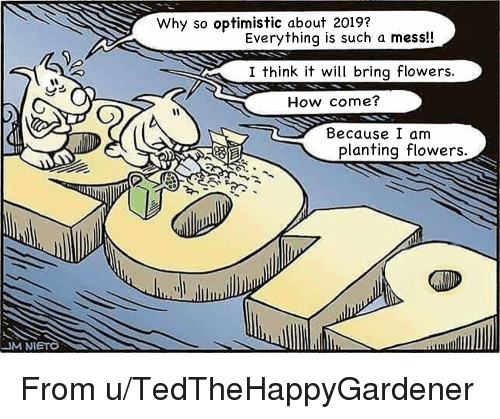 why-so-optimistic-about-2019-everything-is-such-a-mess-39492804